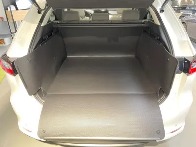 CX-60