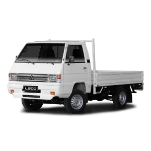 L300