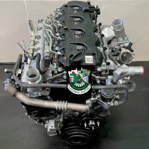 NP300