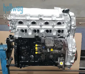 Navara