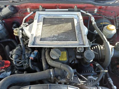 Terrano
