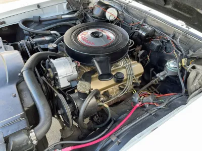 Cutlass