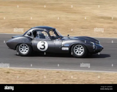 Ginetta