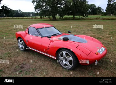 Ginetta