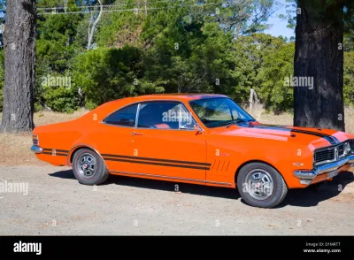 Holden