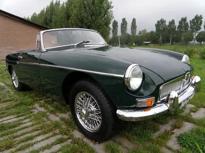 MG