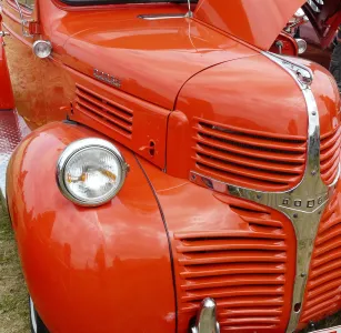 Ogle