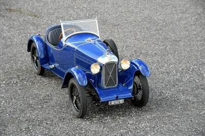 Salmson