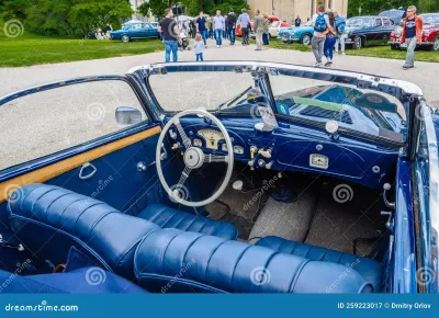 Salmson