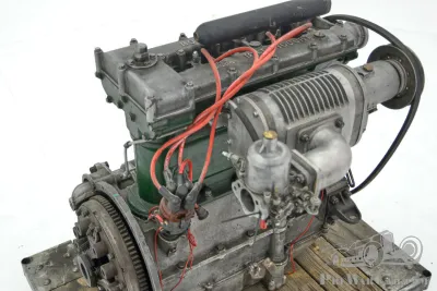 Salmson