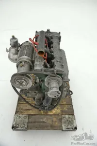 Salmson