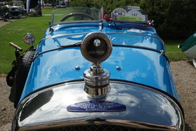 Salmson