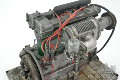 Salmson