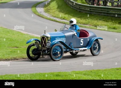 Salmson