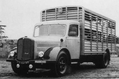Saurer