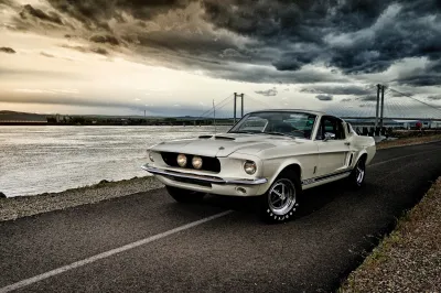 Shelby