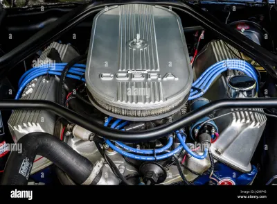 Shelby