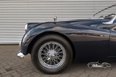 Triumph