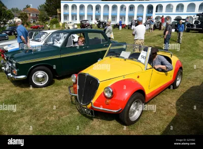 Vignale