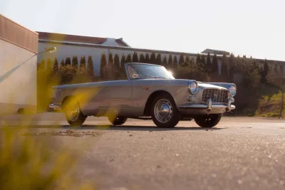 Vignale