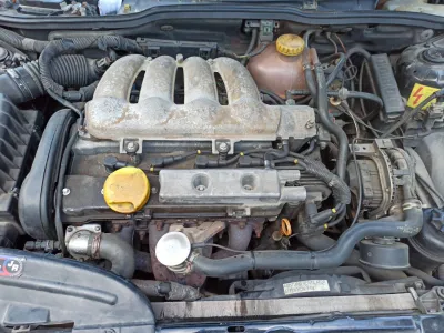 Tigra