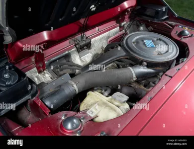 Bertone