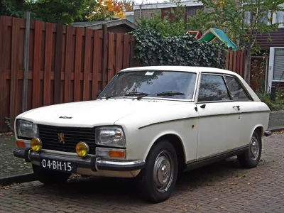 304