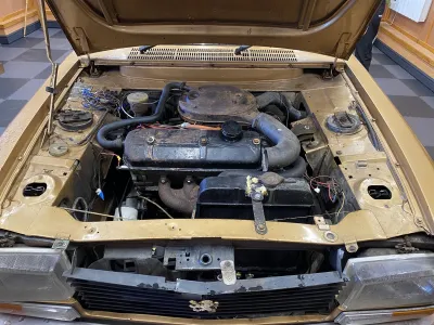 304
