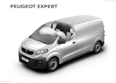 e-Expert