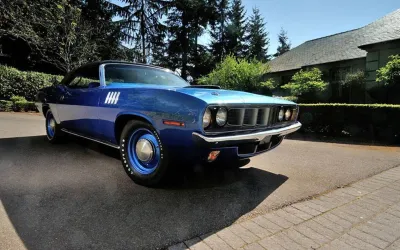 Barracuda