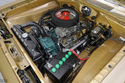 Barracuda