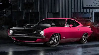 Barracuda