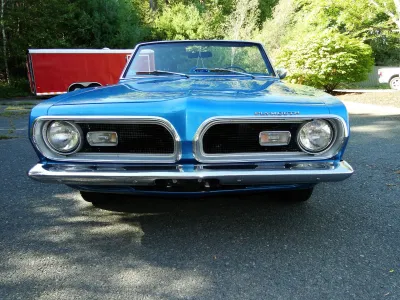Barracuda