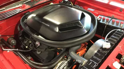 Barracuda