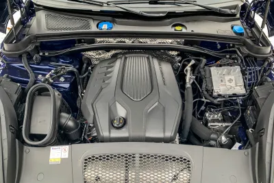 Macan