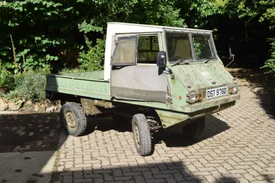 Haflinger