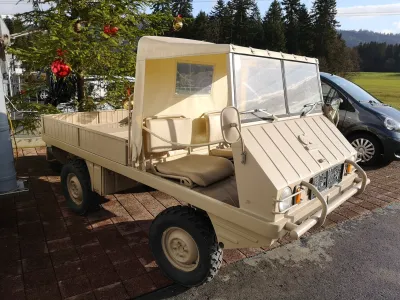 Haflinger