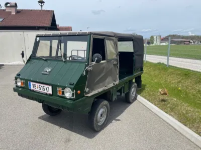 Haflinger