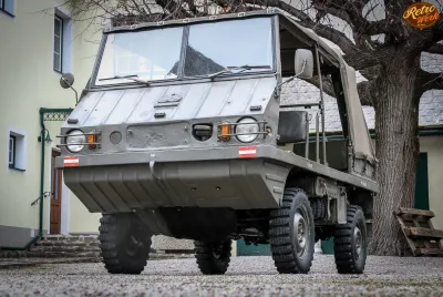 Haflinger