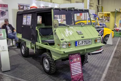 Haflinger