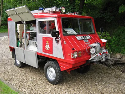 Haflinger