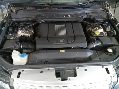 SD