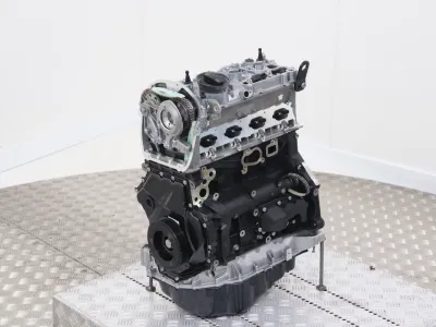 Exeo
