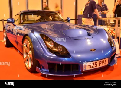 Sagaris