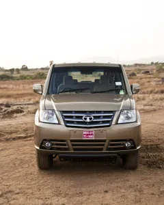Sumo