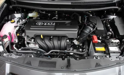 Auris
