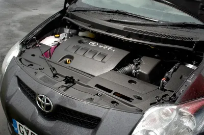 Auris