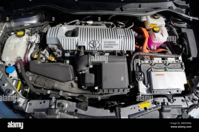 Auris