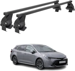 Auris