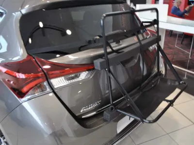 Auris